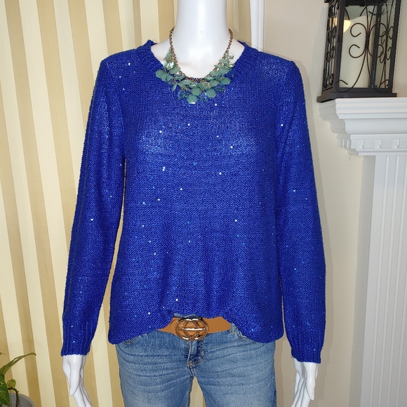 Rafaella Tops - RAFAELLA PETITE SHIMMER BLUE SWWATER MP